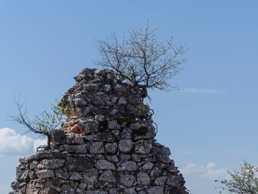 Torna-vrban