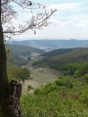 Kontraszt